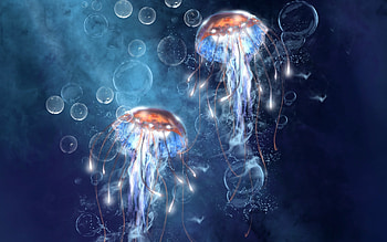 Animals, Jellyfish HD wallpaper