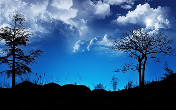 Landscape, Trees, Sky HD wallpaper