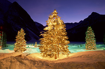 Merry Christmas, merry, christmas, wishing, year, happy, new HD wallpaper