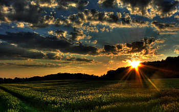FIRST SPRING MORNING, grass, spring, sunrise, landscapes, wind, field, clouds, trees, nature, sun, forest HD wallpaper