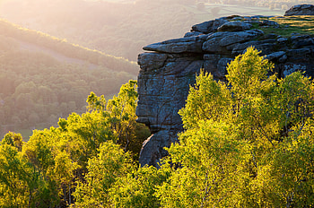 Nature, Trees, Stones, Rock, Hills HD wallpaper