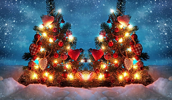 Christmas Trees, trees, Chrsitmas, lights, snow HD wallpaper