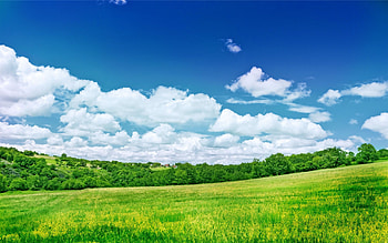 Field sky , que scenery, Open fields, Majestic skies HD wallpaper