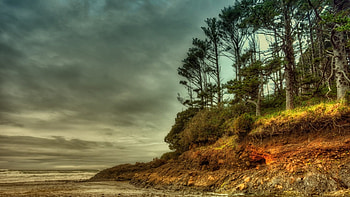 wonderful rugged seacoast r, sea, clouds, r, forest, hill, beach HD wallpaper