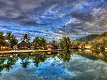 Landscape, Sky, Palms HD wallpaper
