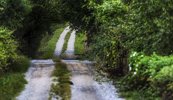 Nature, Summer, Road, Vegetation, Stripes, Streaks, Mainly Cloudy, Overcast, Country, Countryside HD wallpaper