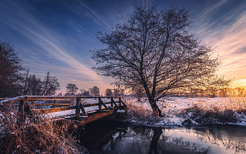 Sunrise over Bridge, winter, bridge, field, sunrise HD wallpaper