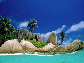 wild beauty, blue, trees, sky HD wallpaper