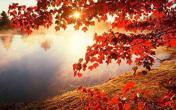Landscape, Nature, Lakes HD wallpaper