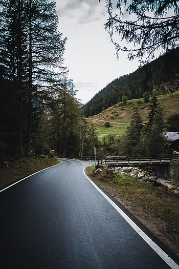 Nature, Trees, Road, Markup, Dahl, Distance HD phone wallpaper