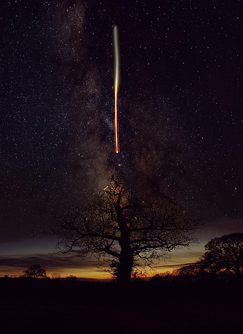 Nature, Sky, Stars, Silhouette, Wood, Tree, zelight HD phone wallpaper