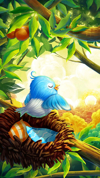 Blue Bird, green, nature, tree, sun, morning HD phone wallpaper