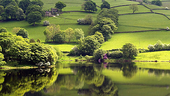 Nature's Own, breathtaking, green, trees, beautiful, nature, lake, reflections HD wallpaper