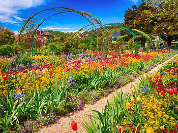 Spring Flowers, garden, daffodils, tulips, blossoms HD wallpaper