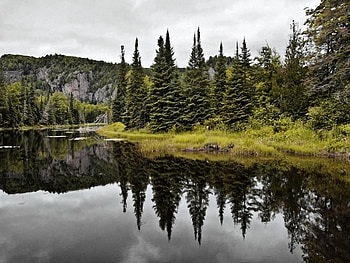 Mirrored-Magnificence, mirrored, green, trees, magnificence, lake HD wallpaper