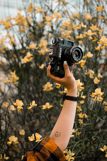 Flowers, Hand, Miscellanea, Miscellaneous, Tattoo, Retro, Camera HD phone wallpaper