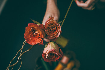 Flowers, Roses, Bouquet HD wallpaper