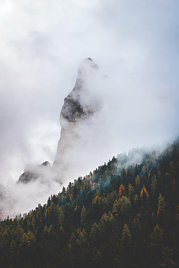 Nature, Clouds, Mountain, Vertex, Top, Forest HD phone wallpaper