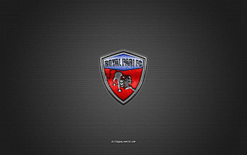 Royal Pari FC, Bolivia football club, blue logo, white carbon fiber background, Bolivian Primera Division, football, Santa Cruz de la Sierra, Bolivia, Royal Pari FC logo HD wallpaper