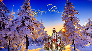 Merry Christmas, winter, artwork, sleigh, snow, women, xmas, sunset HD wallpaper