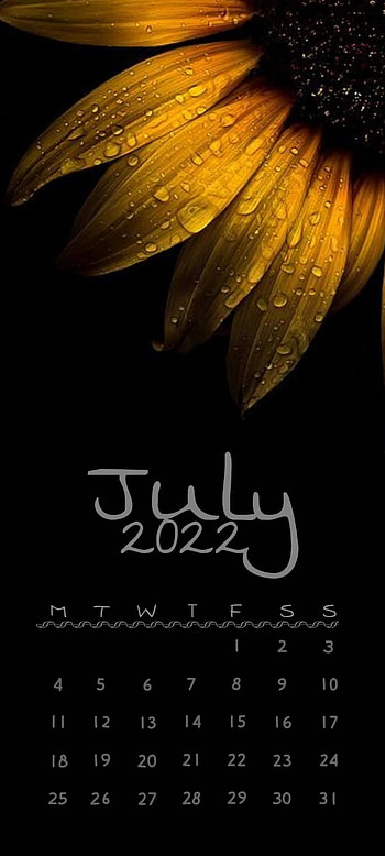 July Calendar 2022, terrestrial_plant, tints_and_shades, sunflower HD phone wallpaper