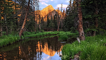 Crestone Needle, Colorado, water, mountain, river, trees, usa, reflections HD wallpaper