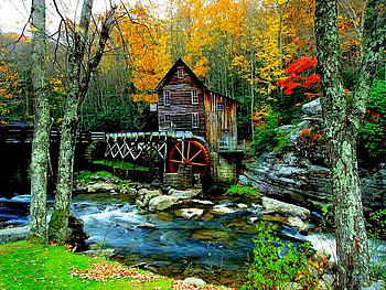 A mill, river, creek, grist, mill, beautiful, wood, trees, water, forest HD wallpaper