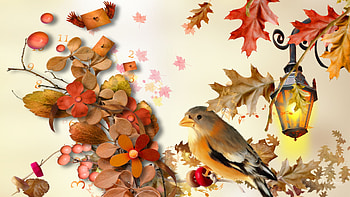 Time Flys By, bird, firefox persona, lamp, fall, leaves, time, light, autumn, flowers, clock HD wallpaper