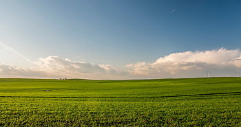 Expansive green meadow under a blue sky with wind turbines in the distance. HD wallpaper