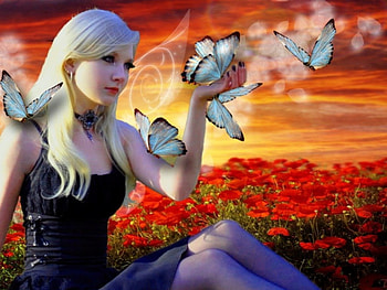 fantasy dreams, butterflies, colorful, fantasy, sunset HD wallpaper