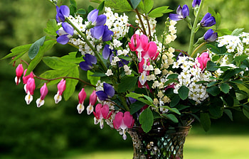 Flowers, Lily Of The Valley, Close-Up, Greens, Bouquet, Vase HD wallpaper