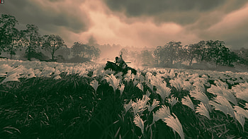 Ghost of Tsushima - Susuki grass, Ghost of Tsushima, Jin Sakai, PlayStation 5 HD wallpaper