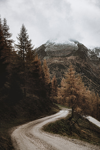 Landscape, Nature, Trees, Mountain, Road HD phone wallpaper
