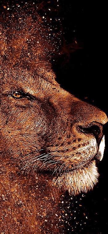 Lion , Breathtaking majesty, Golden glow, Serene background HD phone wallpaper