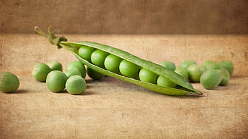 Food, Grains, Grain, Peas, Pea, Pod HD wallpaper