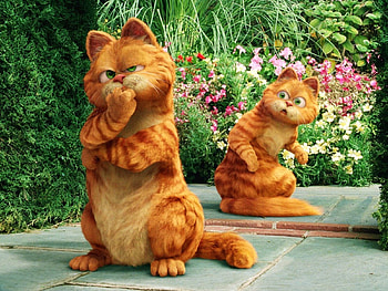 Cartoon, Animals, Cats, Garfild HD wallpaper