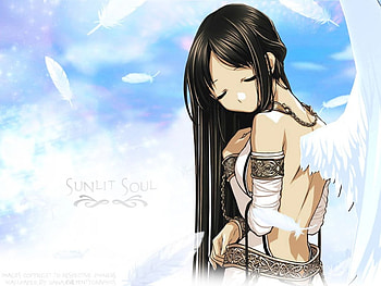 Sunlit Soul, wings, soul, feathers, anime, sunlit HD wallpaper