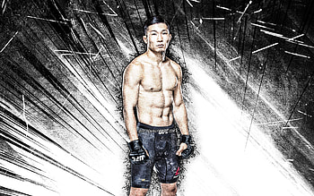Jin Soo Son, grunge art, south korean fighters, MMA, UFC, Mixed martial arts, white abstract rays, Jin Soo Son , UFC fighters, MMA fighters HD wallpaper