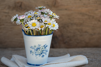 Flowers, Camomile, Vase, Napkin HD wallpaper