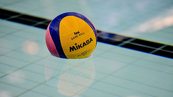 Polo , Sports enthusiasts, Pool game, Competitive spirit HD wallpaper