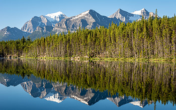 Mountain Lake Reflection, water, reflection, lake, mountain, forest HD wallpaper