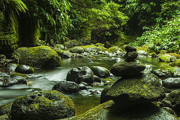 Serene forest stream with stacked stones and lush greenery, capturing the essence of nature's tranquility. HD wallpaper