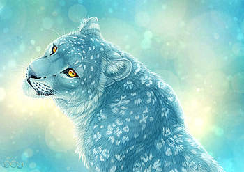 Art, Snow Leopard, Leopard, Irbis HD wallpaper