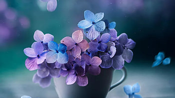 Flowers, Bouquet, Cup, Pink, Blue, Purple HD wallpaper