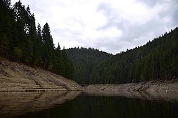 Nature, Trees, Lake, Forest HD wallpaper