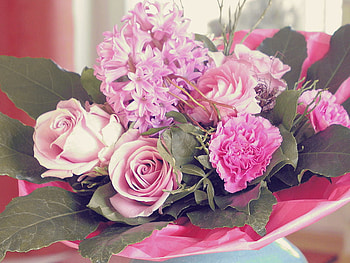 Pink Dream, still life, pink, bouquet, spring flowers, dream HD wallpaper