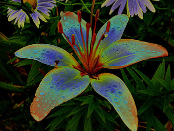 Flower, abstract HD wallpaper