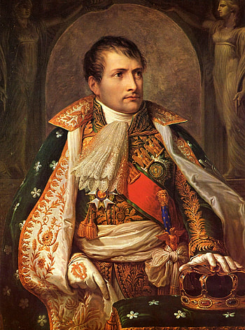 Napoleon Bonaparte, Paintings collection, Historical figure, Artistic representation HD phone wallpaper