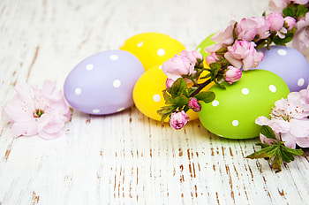 Easter Joy: Vibrant Holiday Eggs & Blossoms Celebration, easter egg, holiday, Easter HD wallpaper