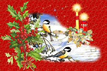 Noel, birds, nice, holiday, candles, new year, berries, flame, beautiful, fresh, decoration, pretty, christmas, lights, red, branches, lovely HD wallpaper